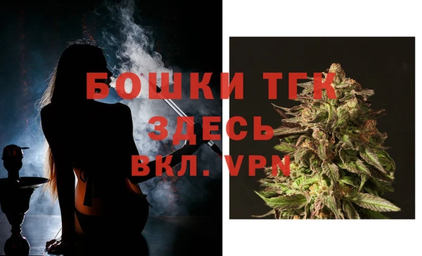 ECSTASY Магас
