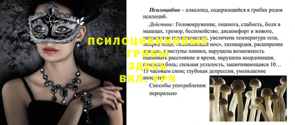 ECSTASY Магас