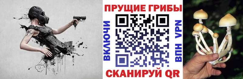 Псилоцибиновые грибы Psilocybine cubensis  Пойковский 